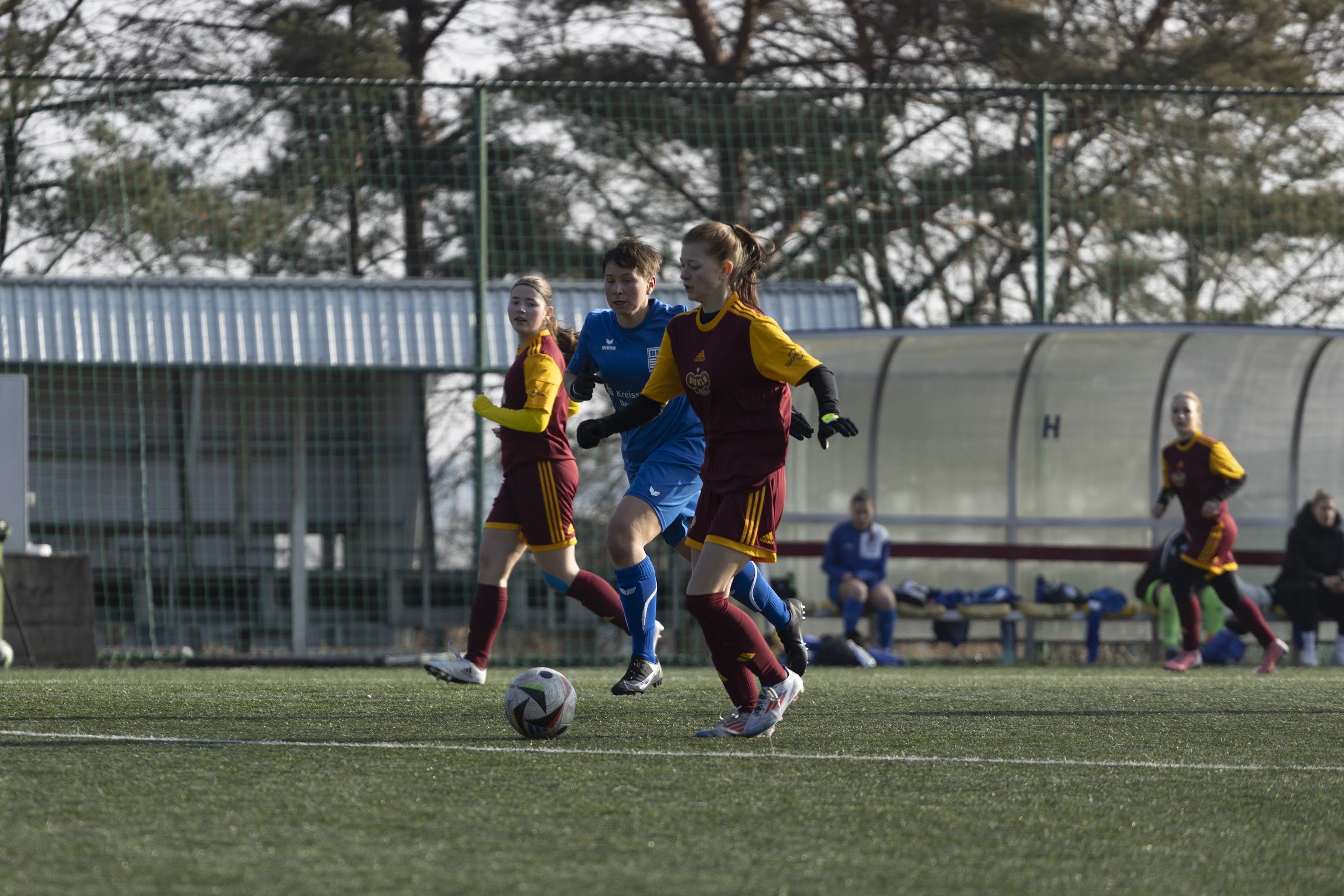 clanek-1