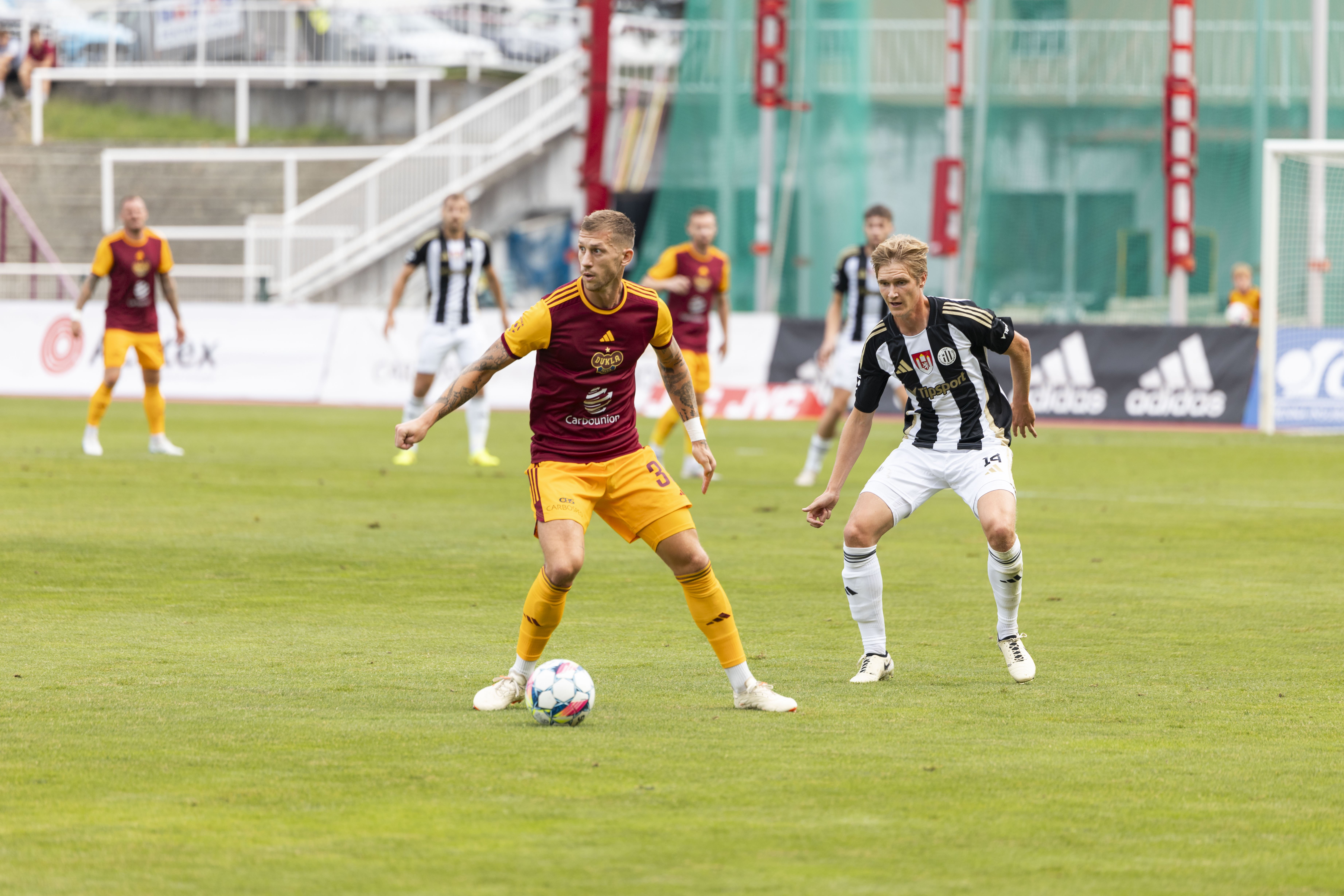 Dukla vykopne jaro v eskch Budjovicch